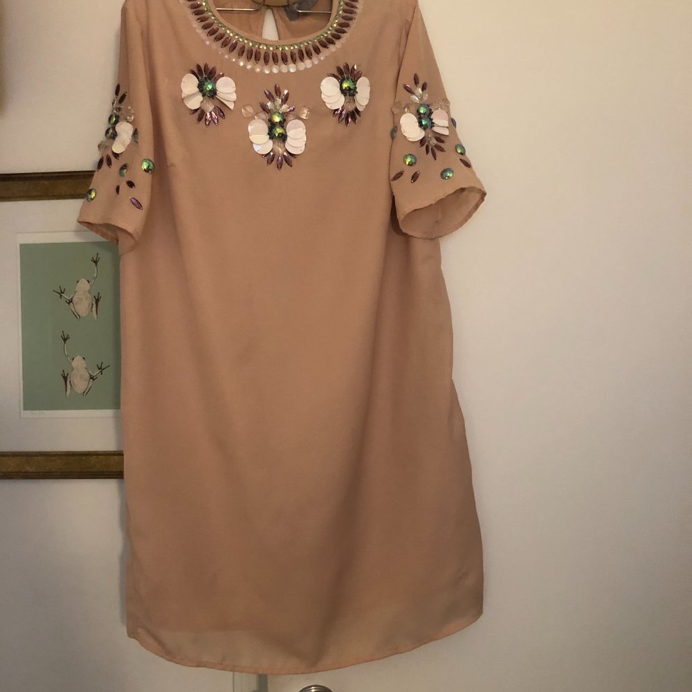 Asos Shift Dress with Gem Flower Details- Pink